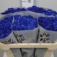 Поставки цветов от магазина Jaaz-Flowers.com
