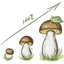 Обзор рынка выращивания грибов