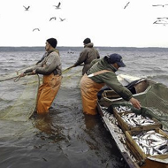 Государственный контроль в области рыболовства