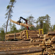 Субсидии организациям лесопромышленного комплекса